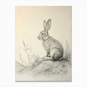 Thrianta Rabbit Drawing 4 Canvas Print