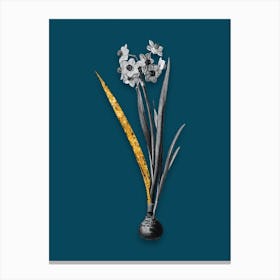 Vintage Daffodil Black and White Gold Leaf Floral Art on Teal Blue n.0685 Canvas Print