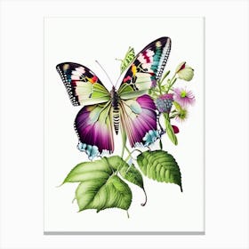Butterfly On Plant Decoupage 1 Canvas Print
