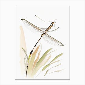 Widow Skimmer Dragonfly Pencil Illustration 1 Canvas Print