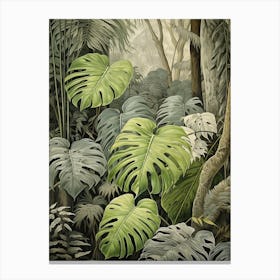 Vintage Jungle Botanical Illustration Monstera 3 Canvas Print