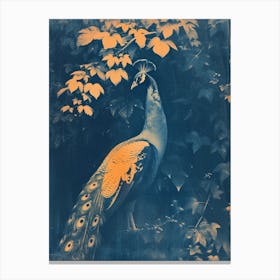 Orange & Blue Peacock In The Ivy 3 Canvas Print