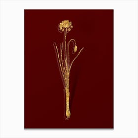 Vintage Autumn Onion Botanical in Gold on Red n.0182 Canvas Print