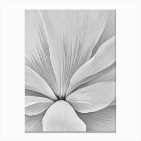Lotus B&W Pencil 1 Flower Canvas Print