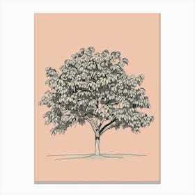 Pecan Tree Minimalistic Drawing 1 Canvas Print