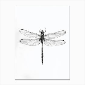 B&W Dragonfly Canvas Print