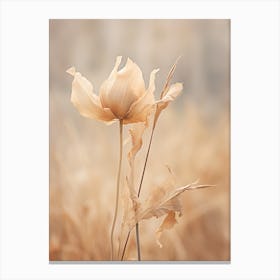 Boho Dried Flowers Tulip 3 Canvas Print