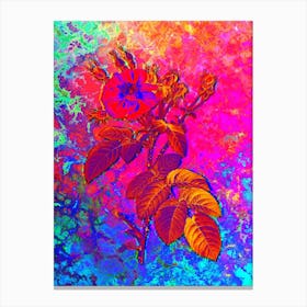 Harsh Downy Rose Botanical in Acid Neon Pink Green and Blue n.0170 Canvas Print