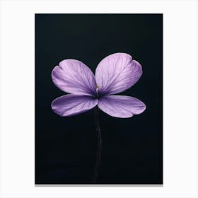 Purple Flower On Black Background 2 Canvas Print