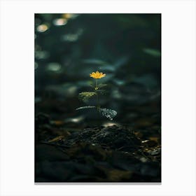 Flower In The Dark 88 Canvas Print