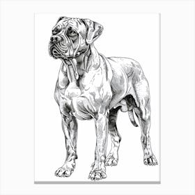 Boxer Dog Line Sketch 3 Canvas Print