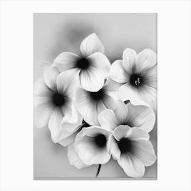 Violet B&W Pencil Flower Canvas Print