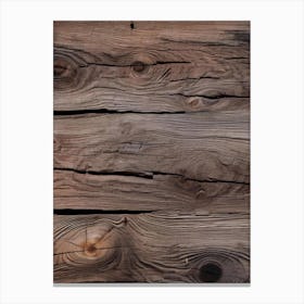 Old Wood Texture Canvas Print