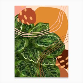 Abstract Calathea Marion Canvas Print