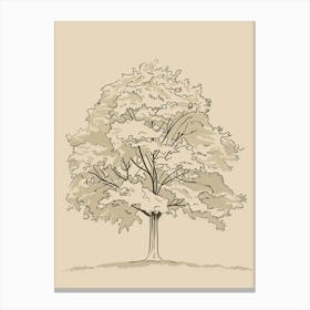 Walnut Tree Minimalistic Drawing 3 Canvas Print