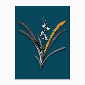 Vintage Boat Orchid Black and White Gold Leaf Floral Art on Teal Blue n.0170 Canvas Print