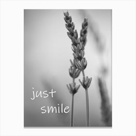 Black and White lavender with saying Just Smile Canvas Print