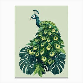 Peacock 30 Canvas Print