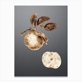Gold Botanical Apple on Soft Gray n.1288 Canvas Print