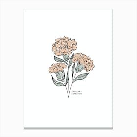 January Carnation Birth Flower 2 Canvas Print