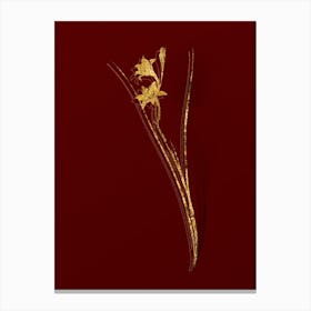 Vintage Gladiolus Botanical in Gold on Red n.0106 Canvas Print