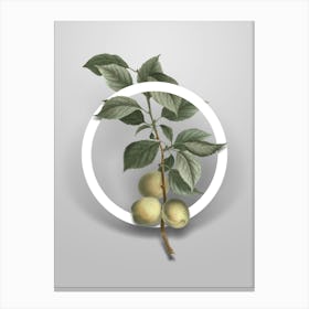 Vintage Briancon Apricot Minimalist Flower Geometric Circle on Soft Gray n.0445 Canvas Print
