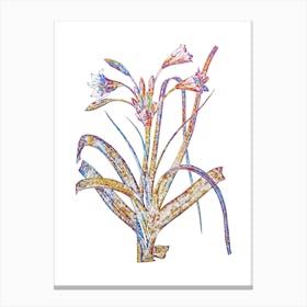 Stained Glass Malgas Lily Mosaic Botanical Illustration on White n.0303 Canvas Print