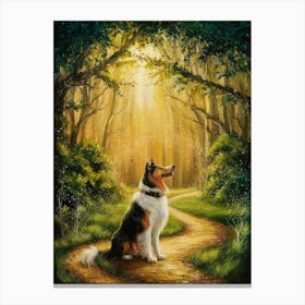 Collie Dog In The Woods Canvas Print