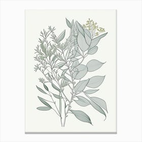 Eucalyptus Herb William Morris Inspired Line Drawing Canvas Print