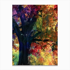 Autumn Tree 12 Canvas Print