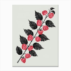 Raspberry Branch Canvas Print