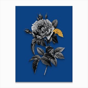 Vintage Pink French Rose Black and White Gold Leaf Floral Art on Midnight Blue Canvas Print