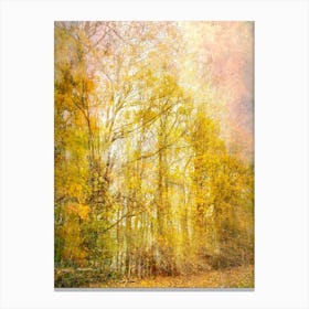 Autumn Copse Canvas Print