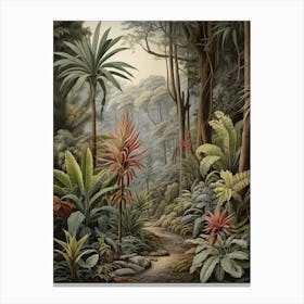 Vintage Jungle Botanical Illustration Bromeliads 3 Canvas Print
