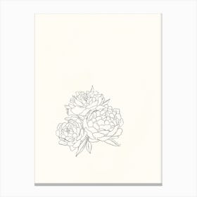 Peonies Drawing Canvas Print