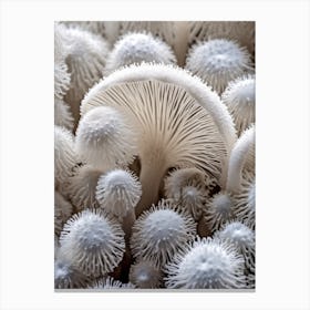 Mushroom Photography 4 Canvas Print