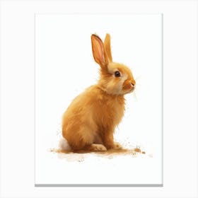 Florida White Rabbit Nursery Illustration 2 Canvas Print