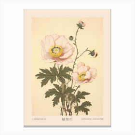 Hanaichige Japanese Anemone 3 Vintage Japanese Botanical Poster Canvas Print