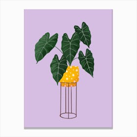 Philodendron On Purple Canvas Print