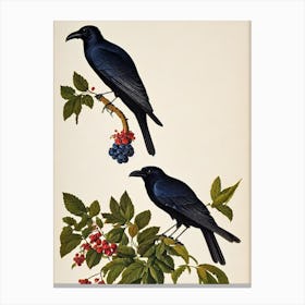 Raven James 3 Audubon Vintage Style Bird Canvas Print
