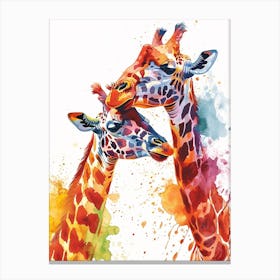 Two Affectionate Giraffes Watercolour 1 Canvas Print
