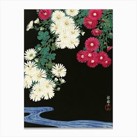 Chrysanthemums 4 Canvas Print