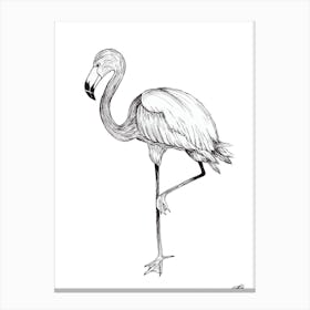 Black and White Flamingo Canvas Print