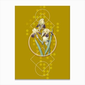 Vintage Elder Scented Iris Botanical with Geometric Line Motif and Dot Pattern Canvas Print