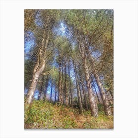 Pine Trees In The Forest Canvas Print