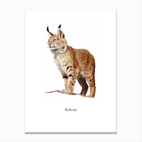 Bobcat Kids Animal Poster Canvas Print