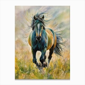 Horse Running In The Meadow Canvas Print