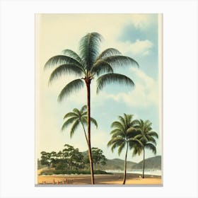 Umina Beach Australia Vintage Canvas Print