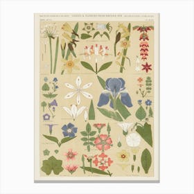 Vintage Pattern, Owen Jones    Canvas Print