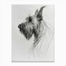 Briard Dog Line Sketch 1 Canvas Print